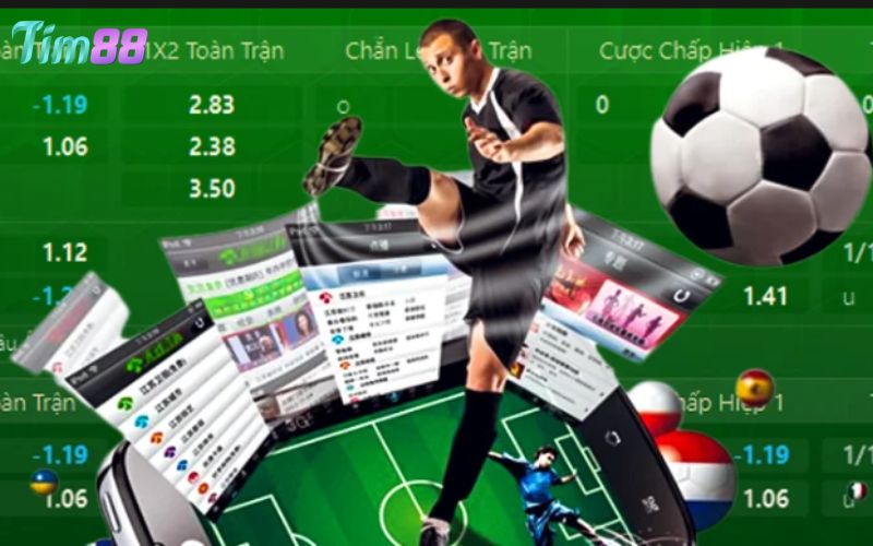 Thầu cá độ bóng đá là gì