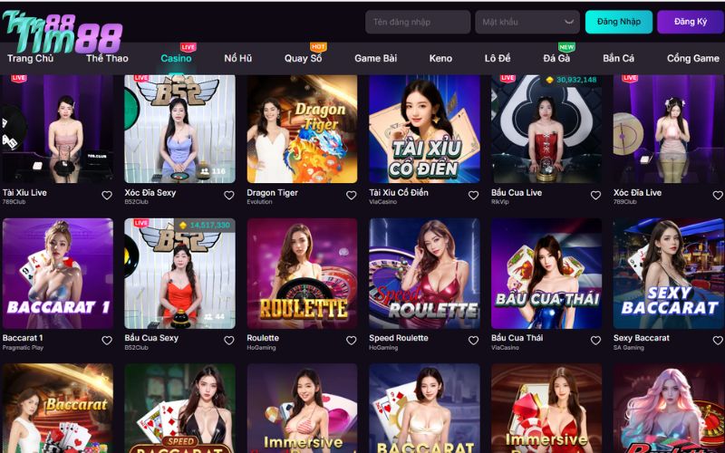 Về chúng tôi - TIM88 hỗ trợ tận tâm, nhiệt tình