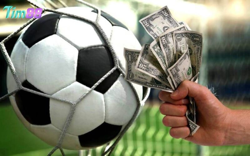 Cách áp dụng Kelly Criterion hiệu quả trong thể thao