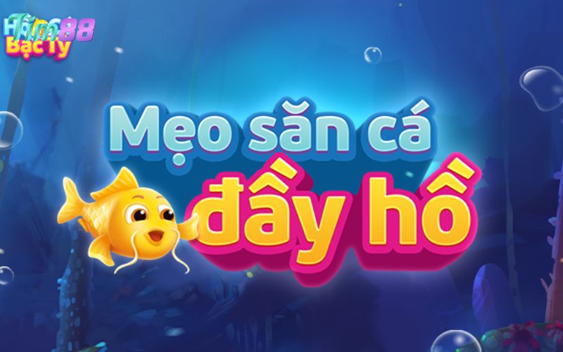 Cách chơi bắn cá Momo Fishing nhanh rinh thưởng