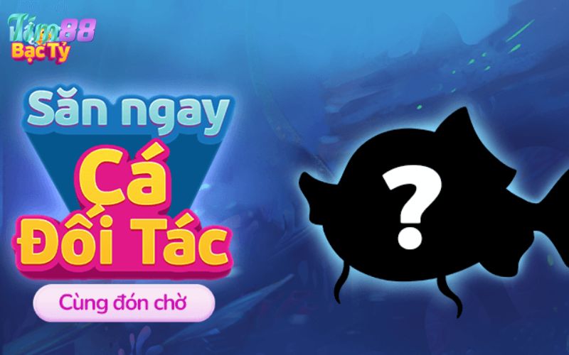 Cách chơi bắn cá Momo Fishing nhanh thắng lớn