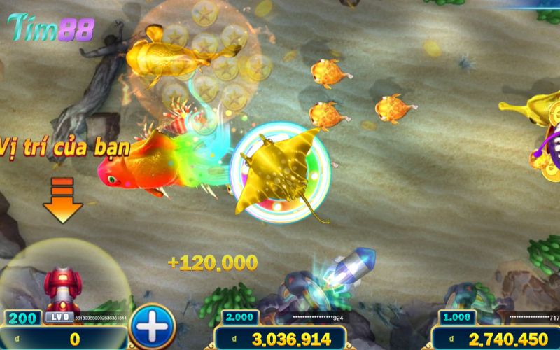 Chơi Bắn Cá Hoàng Gia cần chú ý những gì?